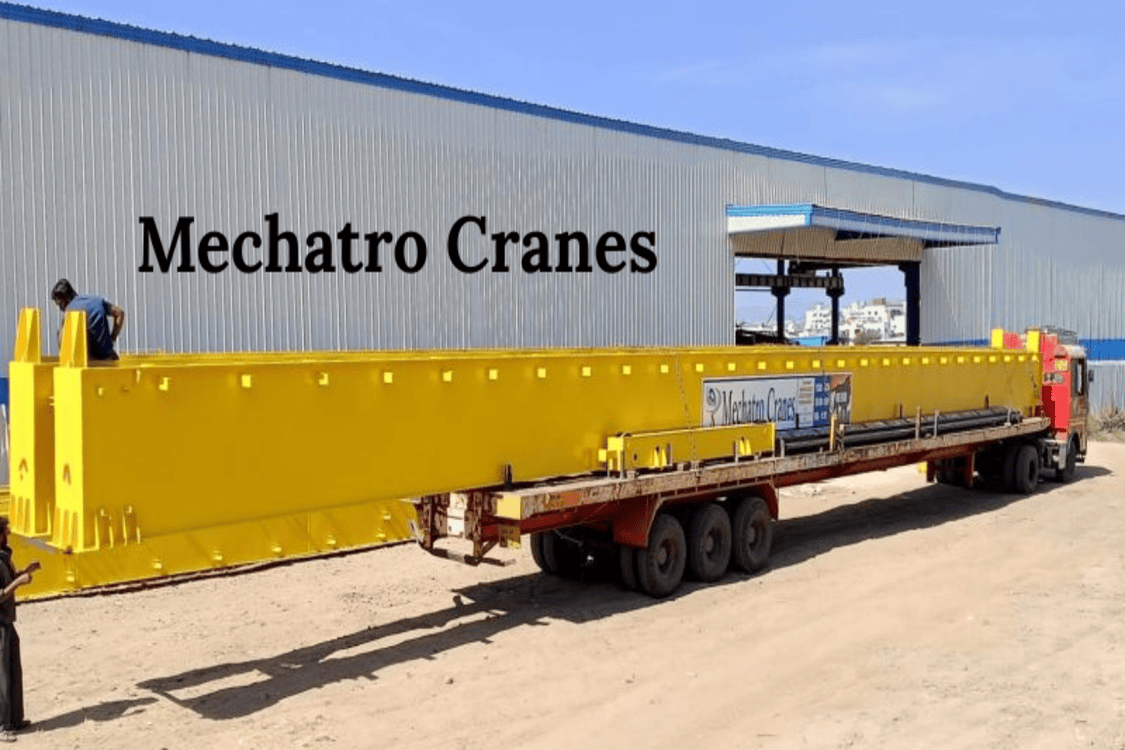 Mechatro Cranes